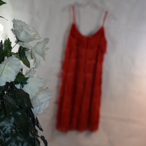 Fringe Flapper Gatsby Style Dress SZ M - Picture 6 of 6